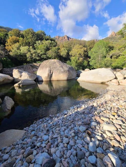 Entre Montagne Et Porto (Corsica)